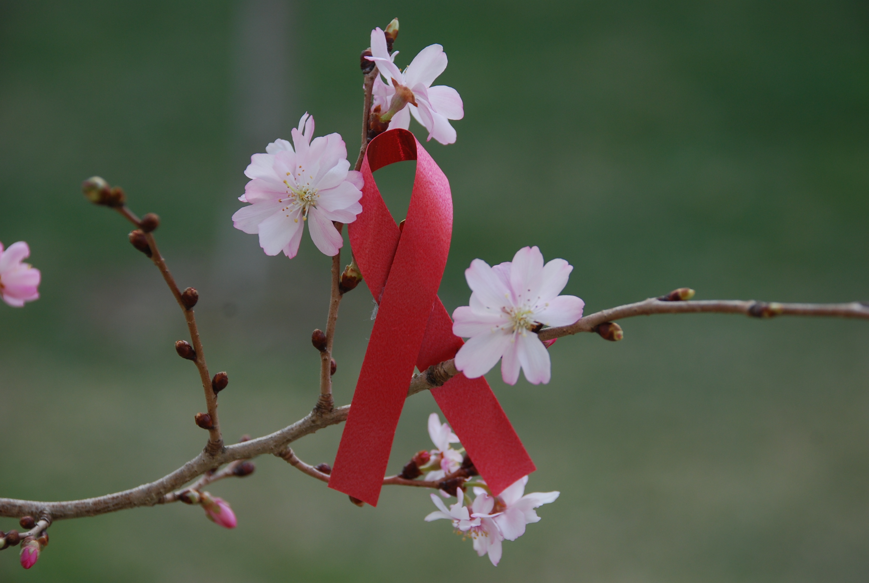 A Litany For Long-Term HIV/AIDS Survivors – Femminary